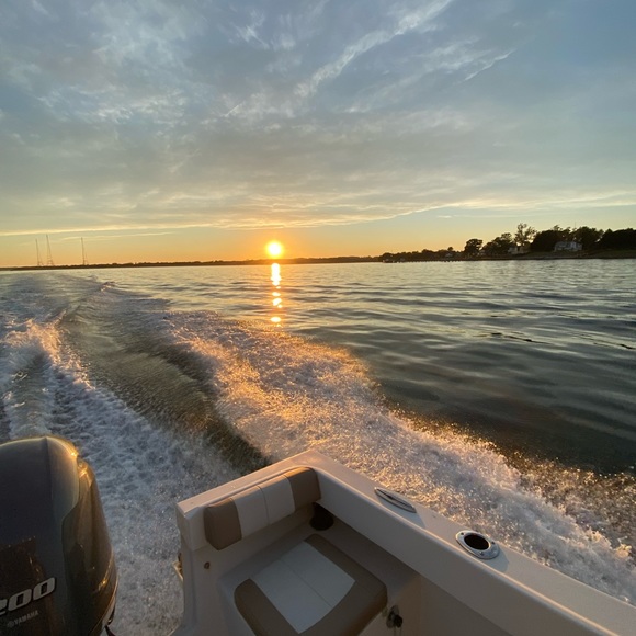 Meet your Posher, Lilly - Picture 1 of 1